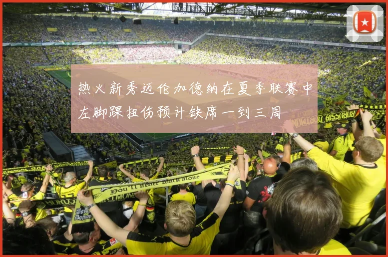 热火新秀迈伦加德纳在夏季联赛中左脚踝扭伤预计缺席一到三周